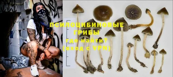 бутират Баксан