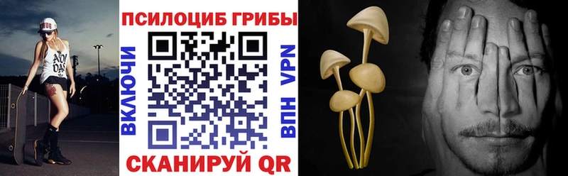 Псилоцибиновые грибы прущие грибы  mega ссылка  Щёлкино 